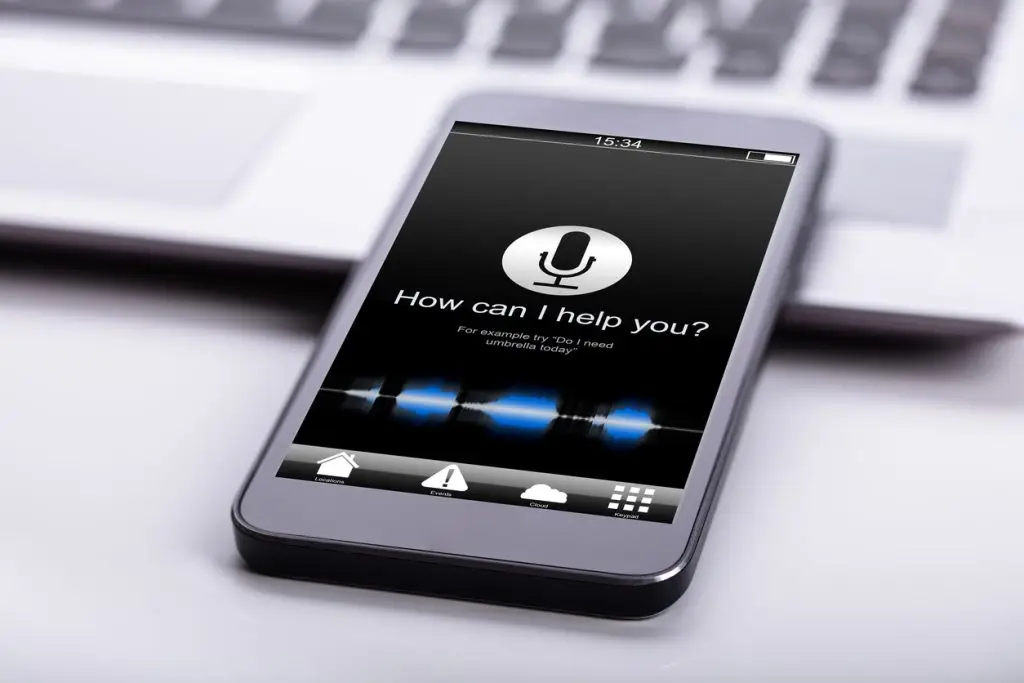 voice search 